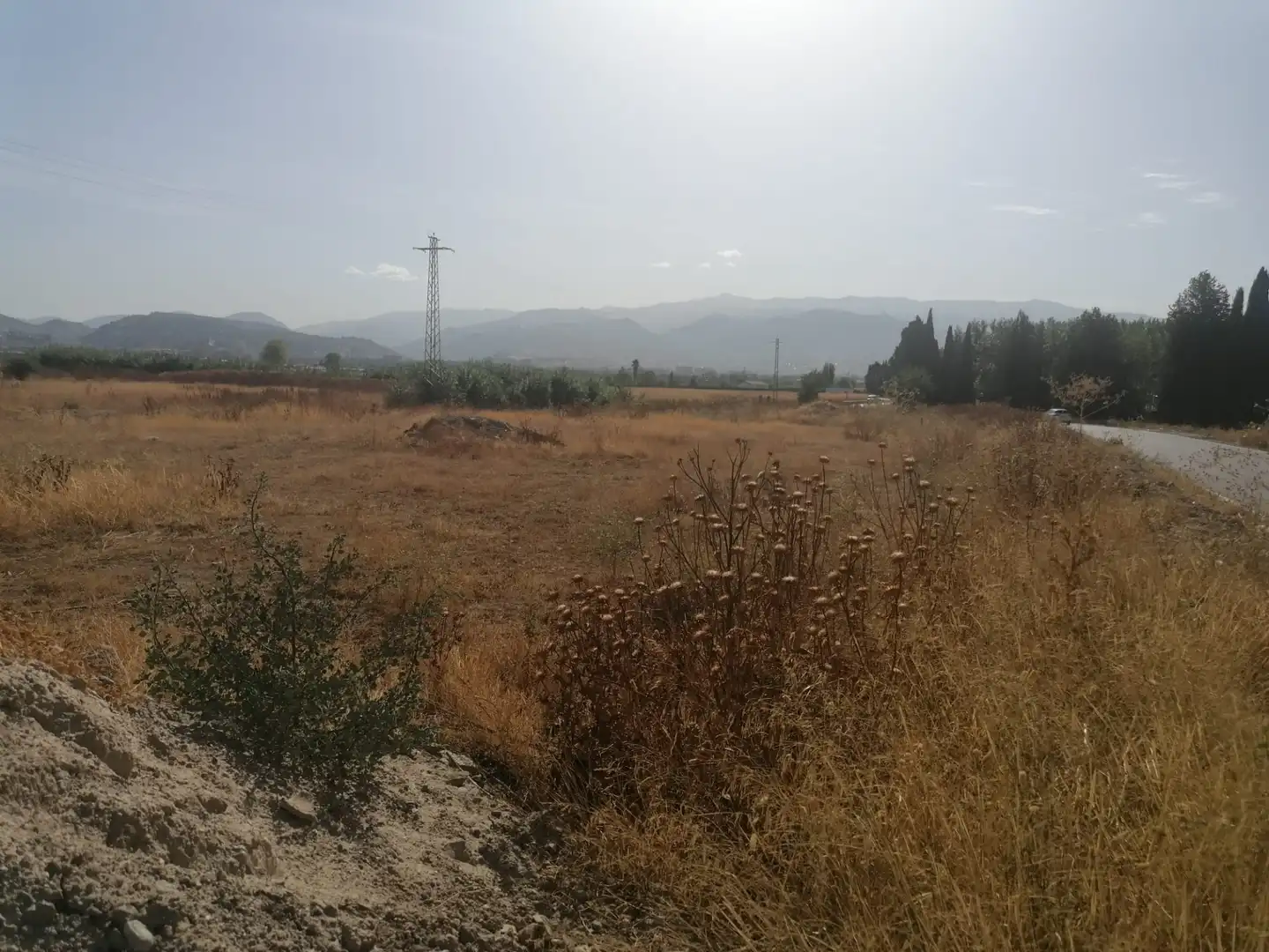 Terreny rústic en venda a Ronda, imagen 16