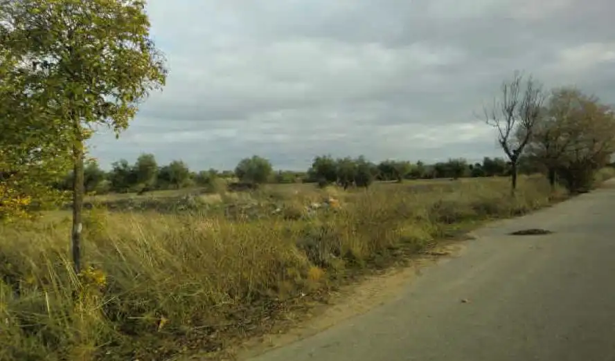 Terreny rústic en venda a Burguillos de Toledo, imagen 7