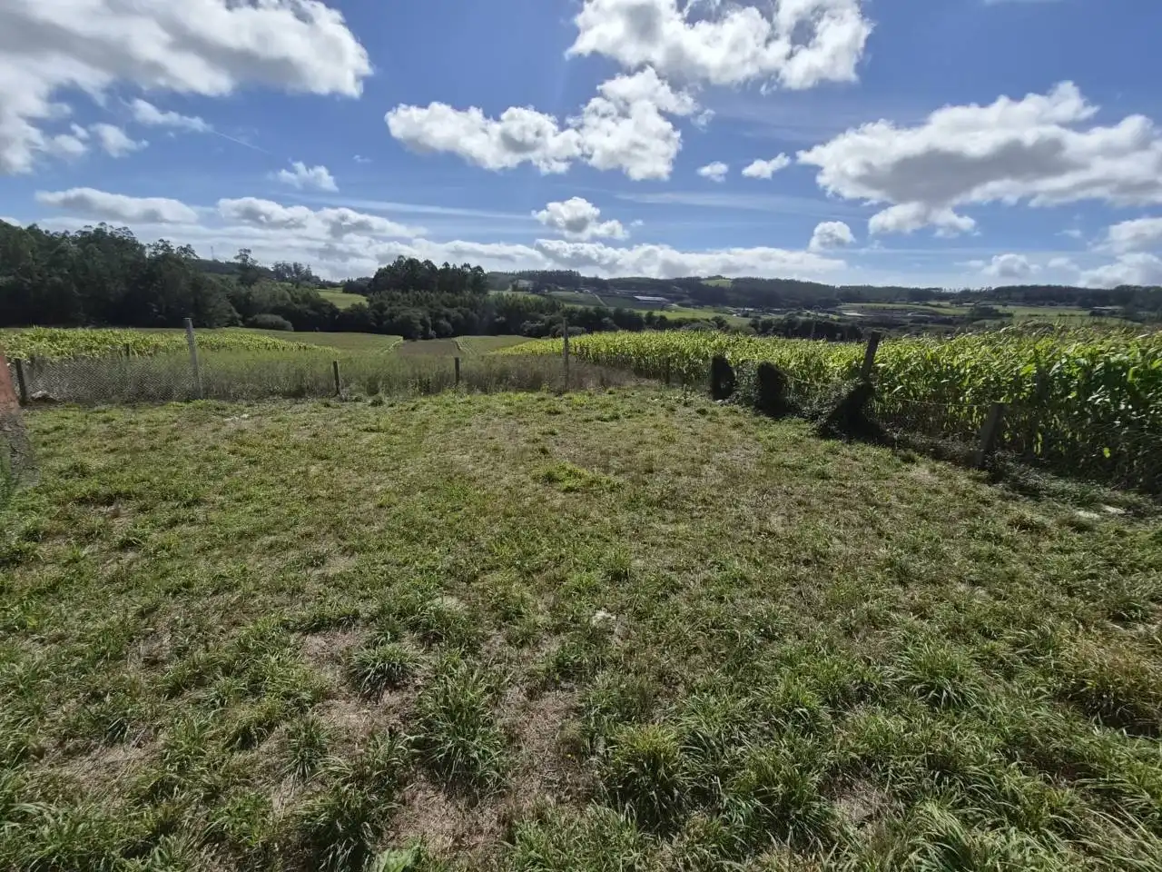 Country homes for sale in Rois  with Private garden, Furnished and Alarm
