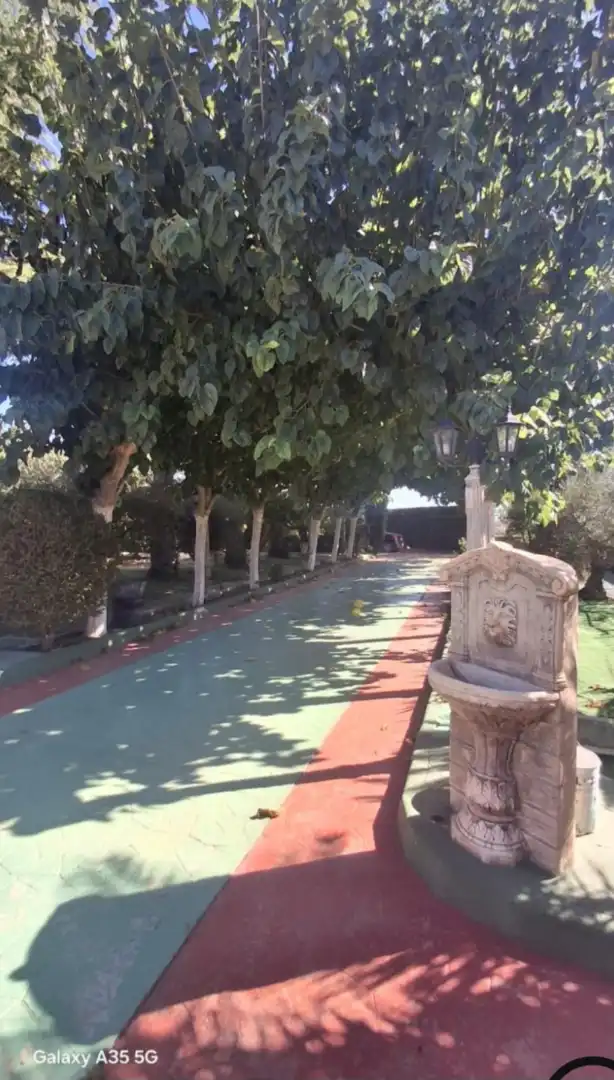 Casa rústica amb piscina en venda a Camino del Tollo, imagen 18