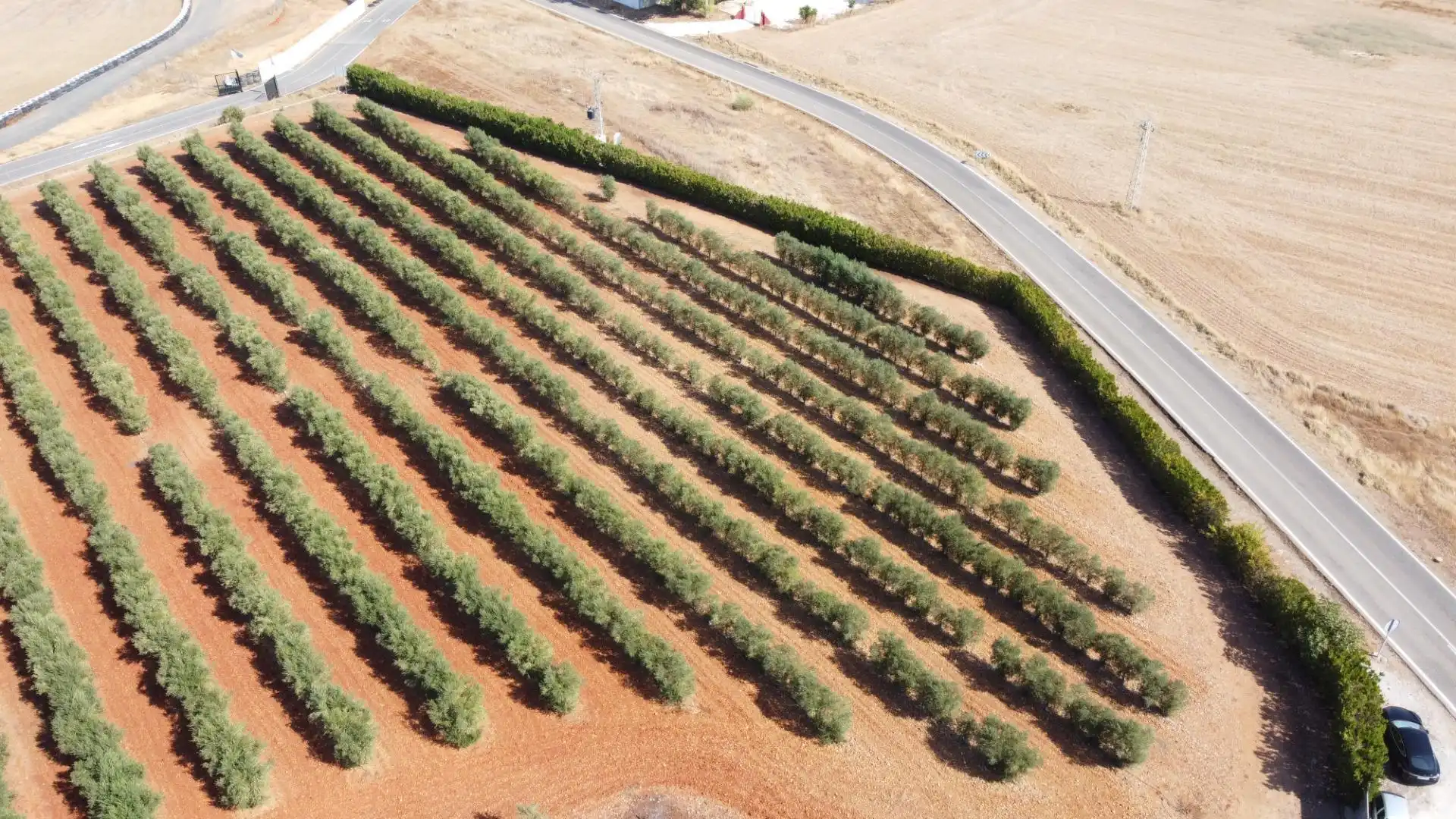 Vista exterior de Finca rústica en venta en Carmona con Calefacción, Jardín privado y Terraza