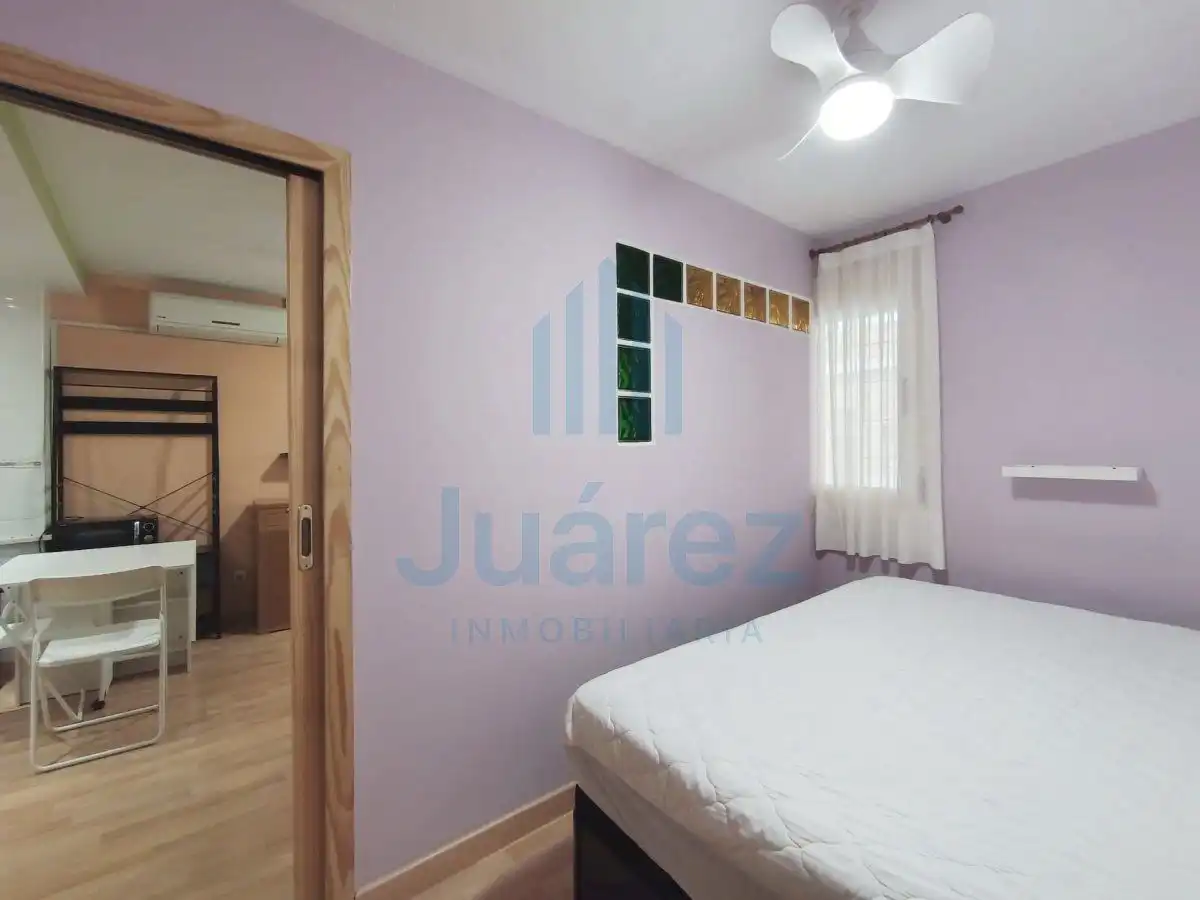 Pis amb ascensor de lloguer a PINTOR PICASO, imagen 12