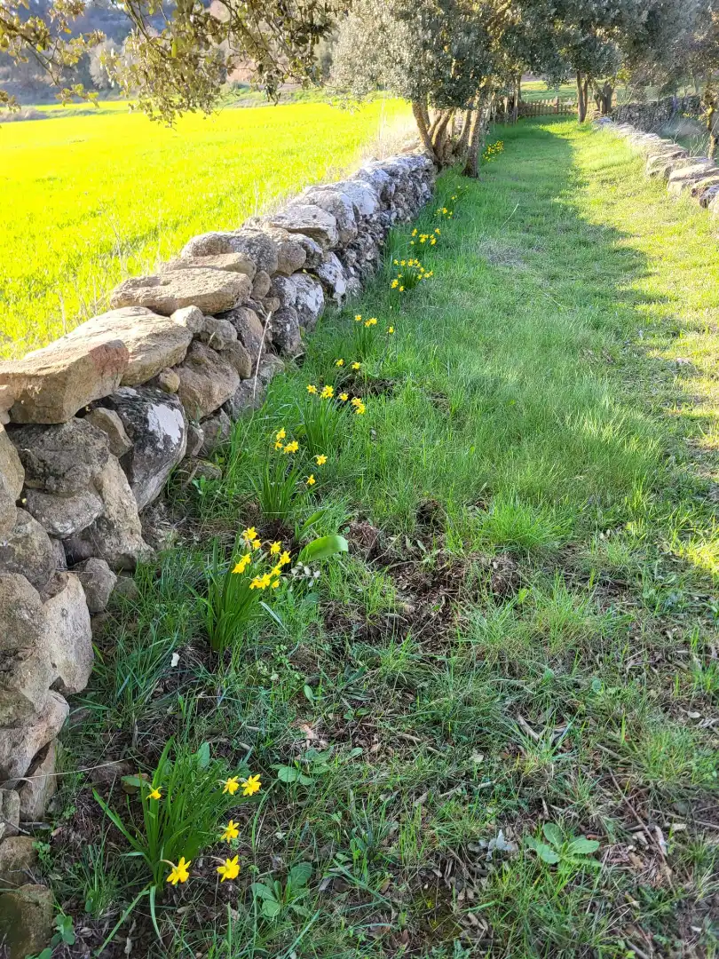 Jardín de Terreno en venta en Pinell de Solsonès