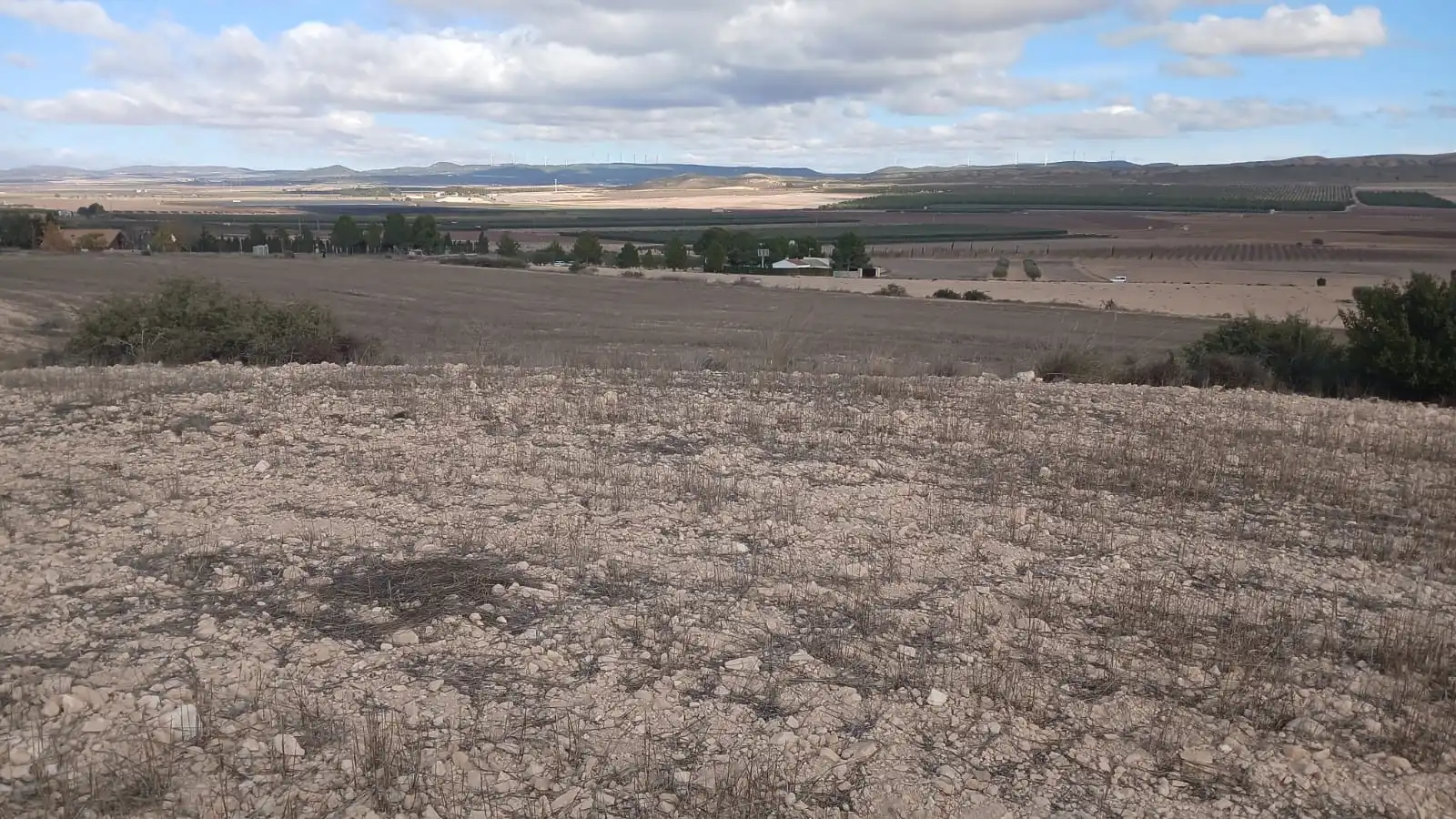 Residential land for sale in Yecla, imagen 21