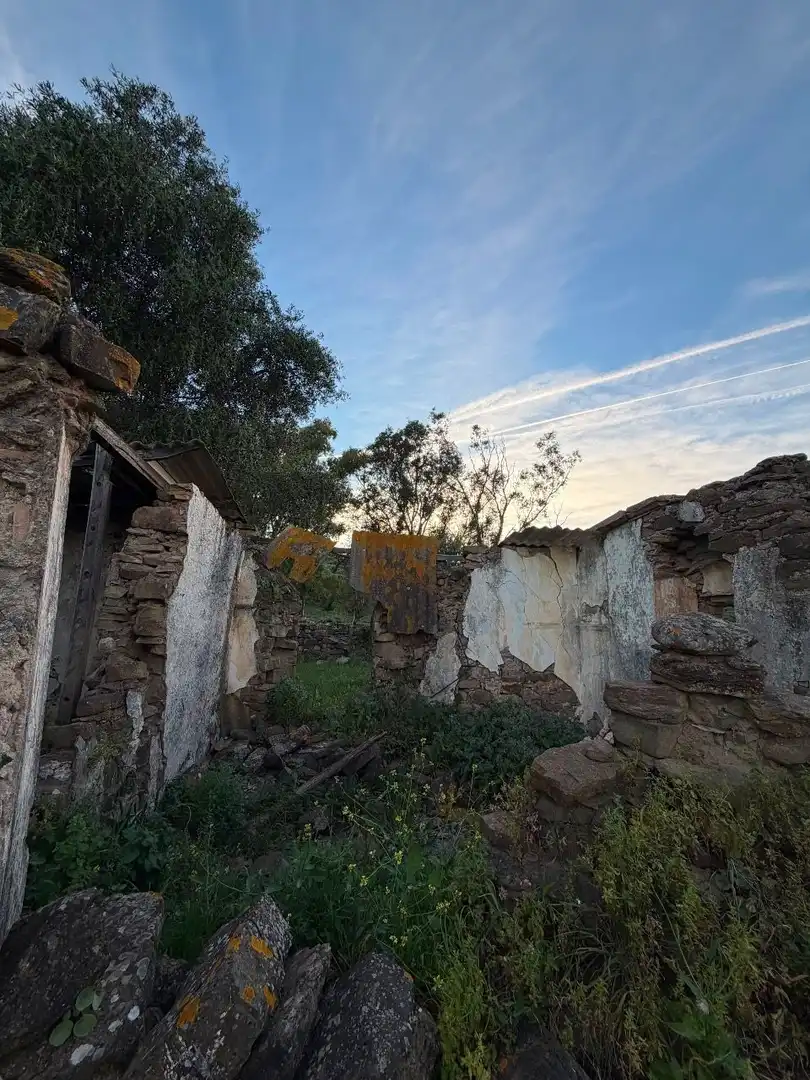 Finca rústica en venta en Tarifa