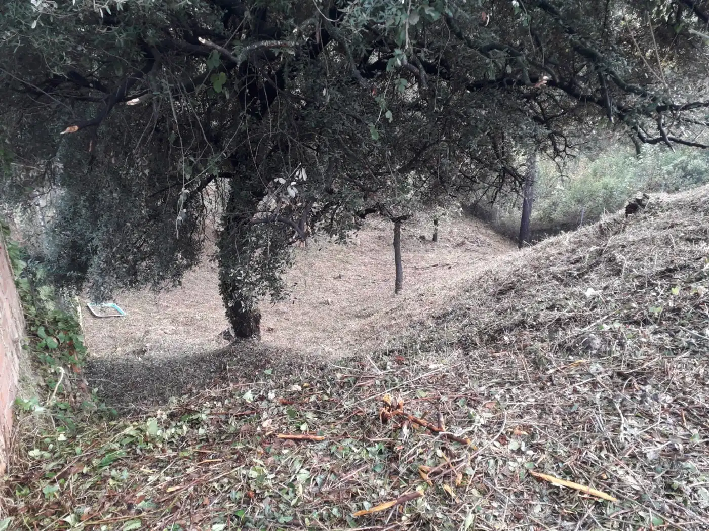 Wohnbaugrundstück zum Verkauf in can canyameres, imagen 11