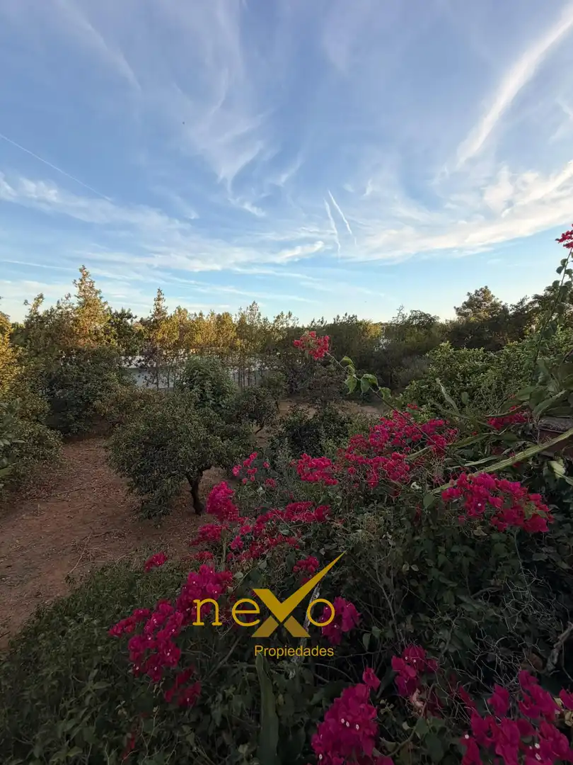 Chalet con piscina en venta en Carmona, imagen 45