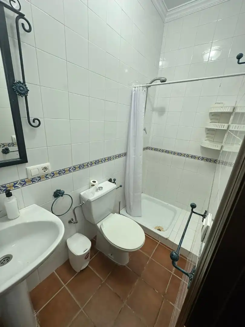 Reihenhaus zur Miete in Calle el Lince, imagen 15