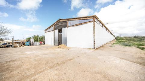 Photo 2 of Industrial buildings for sale in  Ses Barraques, Es Pil·larí, Illes Balears