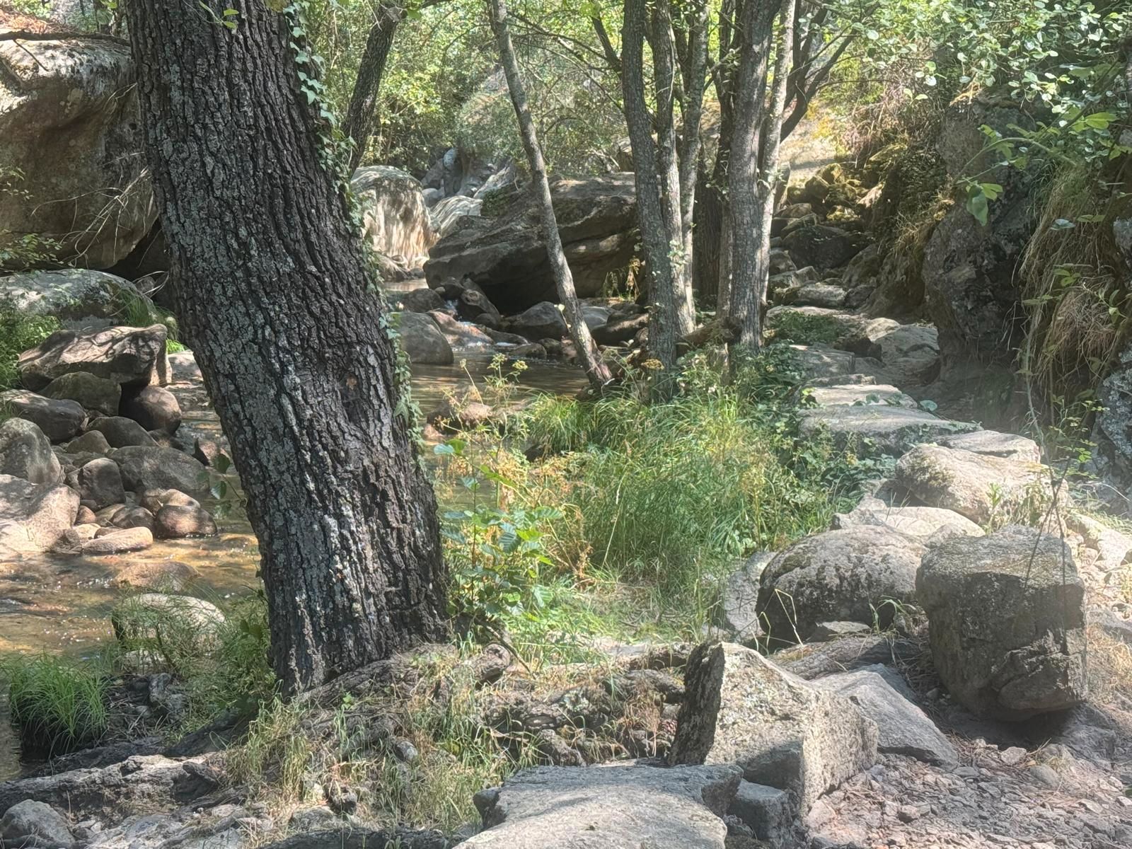 Garden of Single-family semi-detached for sale in Lanzahíta  with Air Conditioner, Heating and Furnished