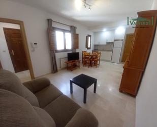 Sala d'estar de Apartament de lloguer en  Granada Capital amb Calefacció, Moblat i Rentadora