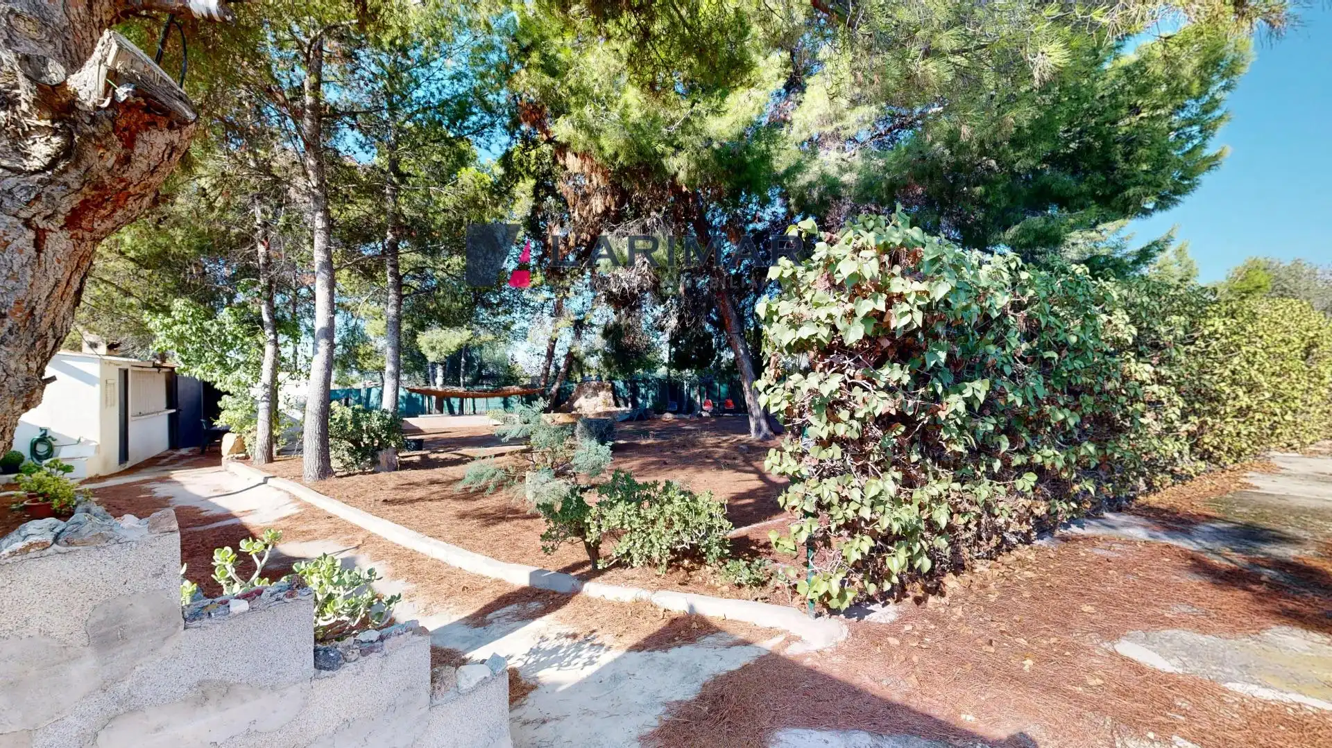 Jardín de Finca rústica en venta en San Vicente del Raspeig / Sant Vicent del Raspeig