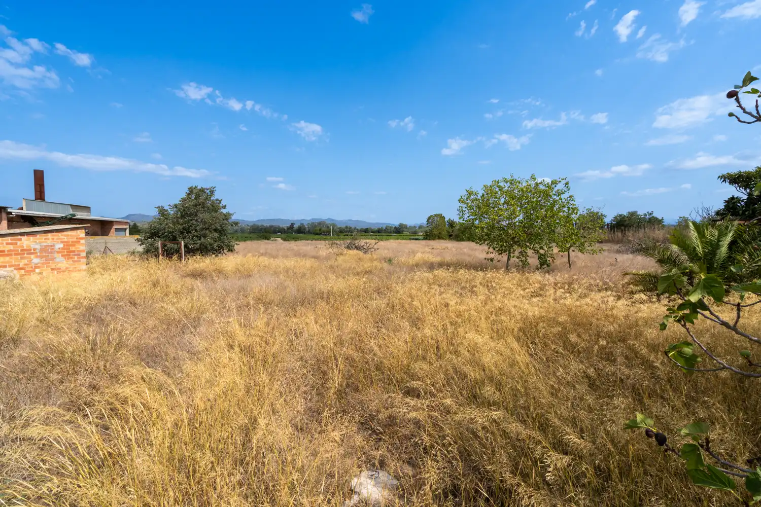 Rural land for sale in Ginestar, imagen 7