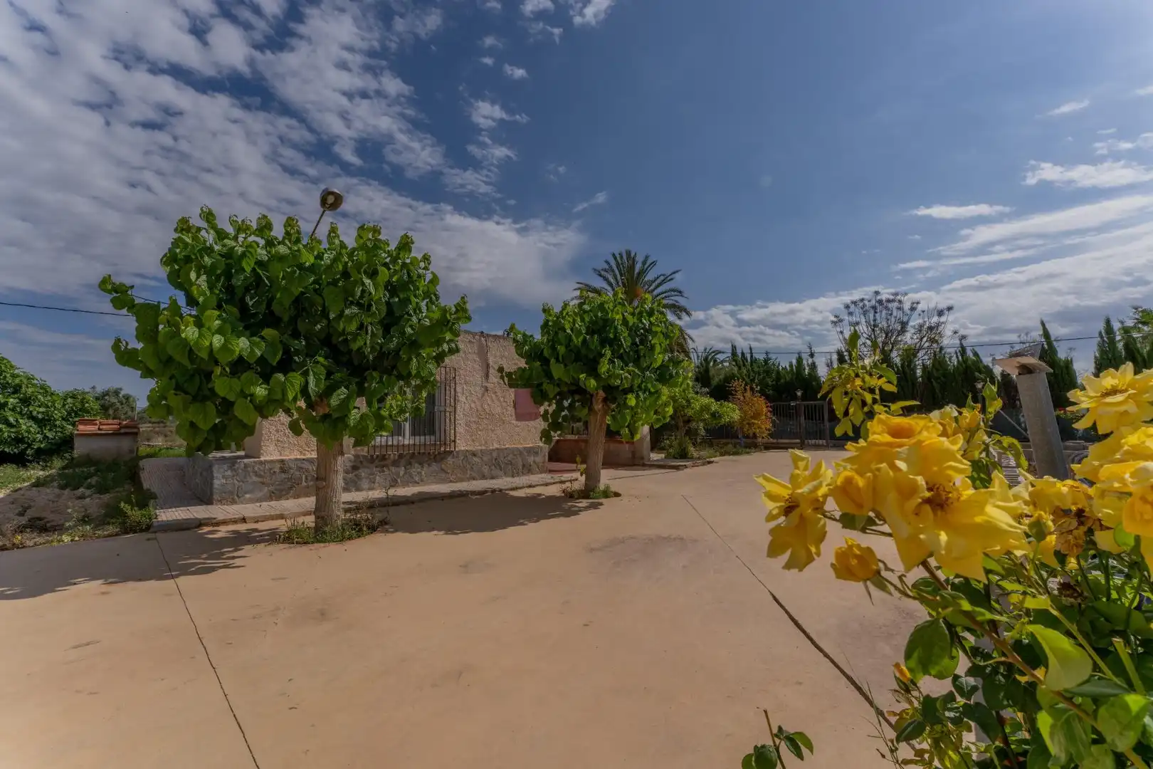 Jardí de Casa o xalet en venda en Crevillent amb Piscina