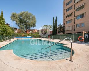 Piscina de Pis en venda en  Madrid Capital amb Calefacció, Jardí privat i Traster