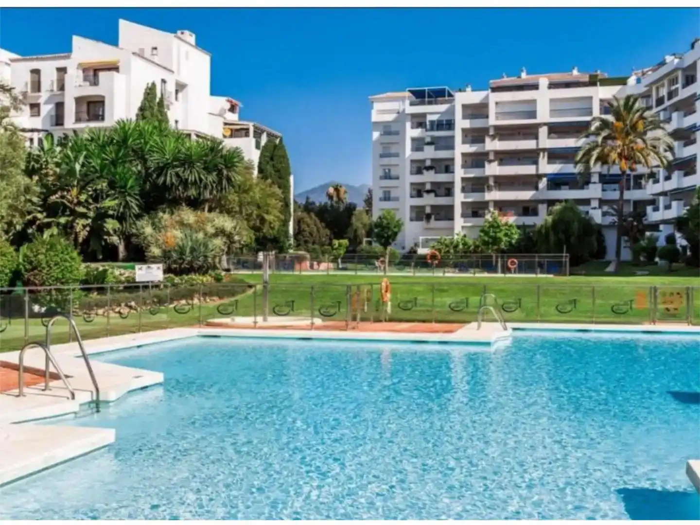 Garden of Flat for rent in Nueva Andalucía