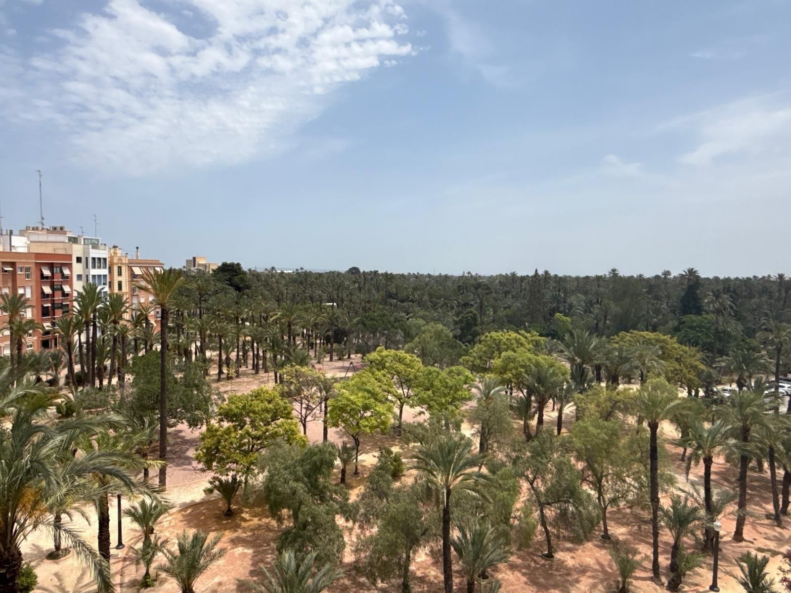 Jardí de Pis en venda en Elche / Elx amb Aire condicionat, Parquet i Moblat