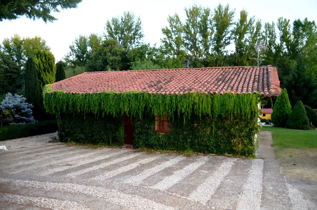 Vista exterior de Casa o chalet en venta en Cortelazor con Jardín privado, Terraza y Trastero