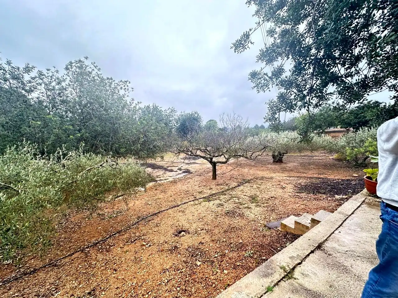 Fabrikhallen zum Verkauf in Tortosa