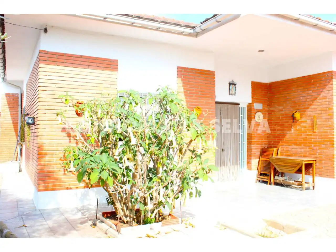 House with pool for sale in Calle Romaní, imagen 3