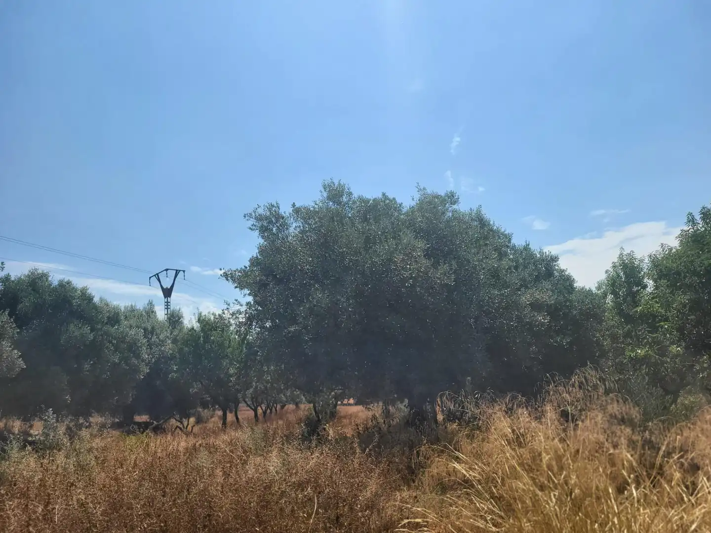 Casa rústica en venda a Vall d'Alba, imagen 19