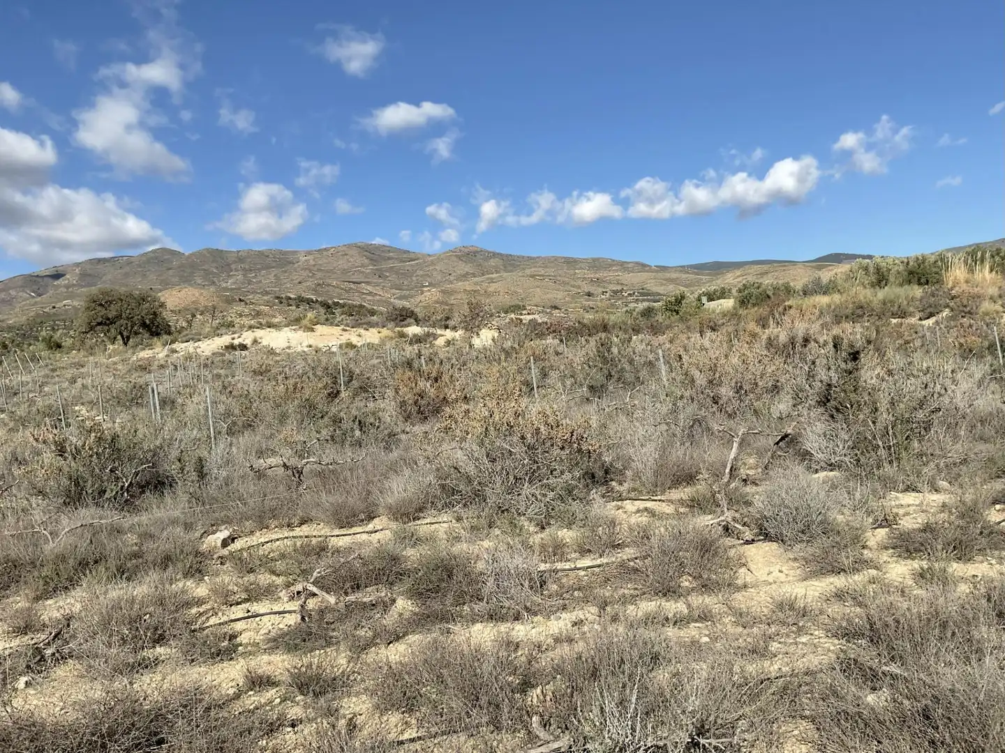 Land for sale in Padules