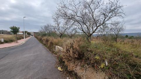 Foto 2 de Finca rústica en venda a Polígono 5 Coniller, 4, Centro, Oropesa del Mar / Orpesa