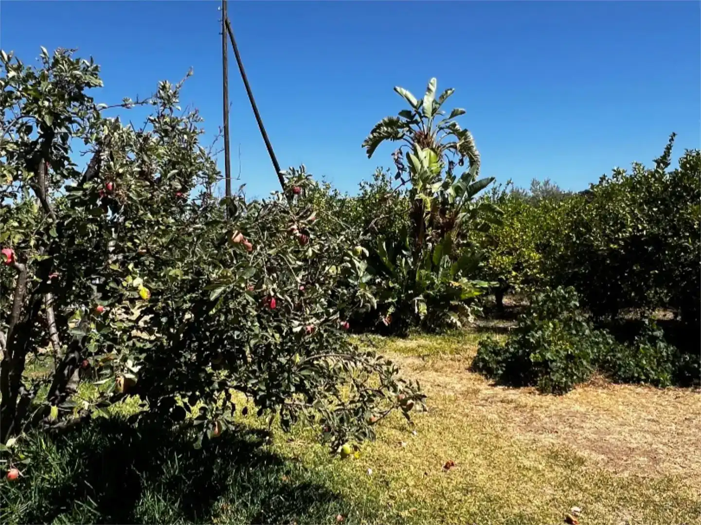 Country homes for sale in Álora  with Air Conditioner, Swimming Pool and Balcony