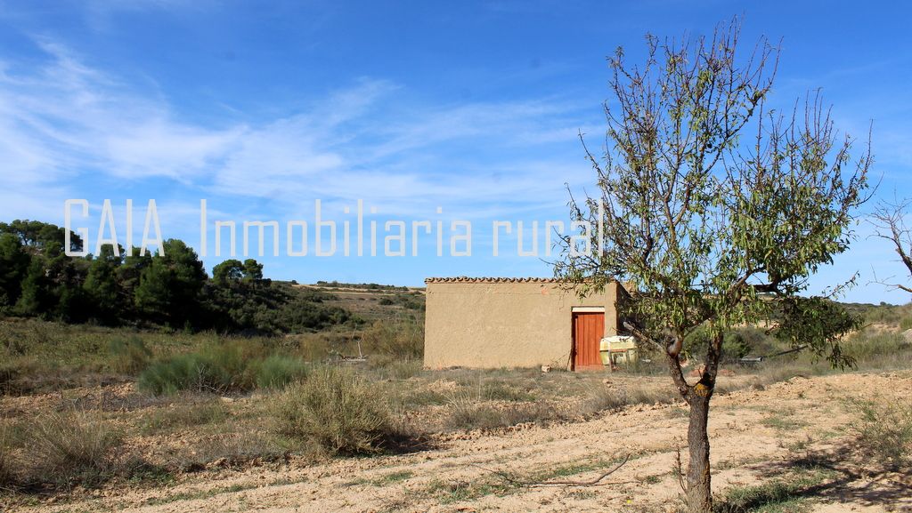 Finca rústica en venda en Maella