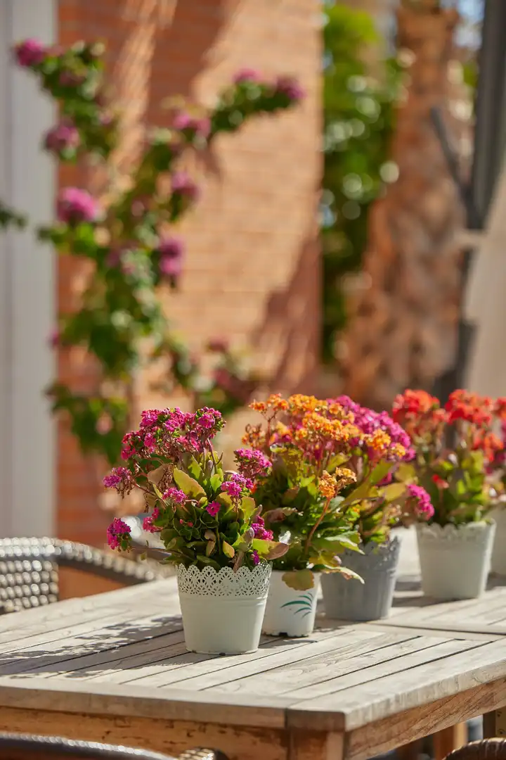 Jardí de Apartament en venda en L'Alfàs del Pi