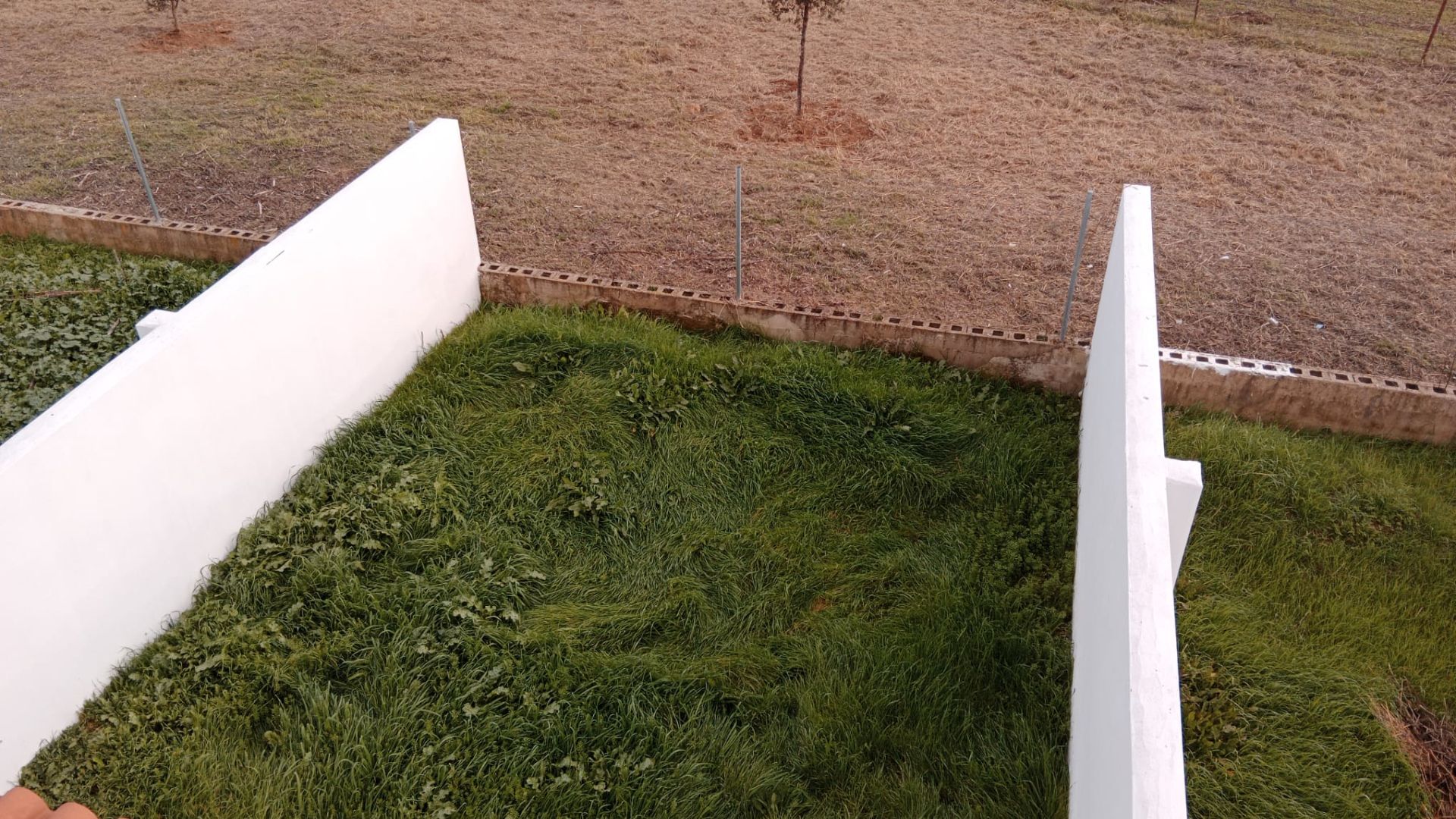 Garden of Single-family semi-detached for sale in Fregenal de la Sierra  with Terrace