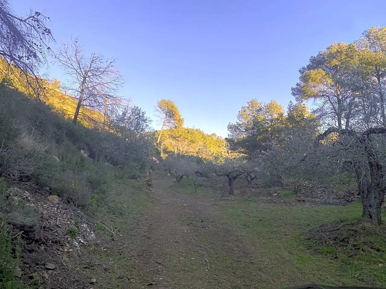 Terreno rustico in vendita a Perchels, imagen 5