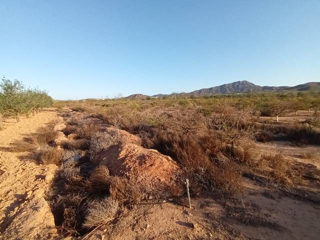 Terreno en Venta en Las Cánovas - Cuevas de Reyllo