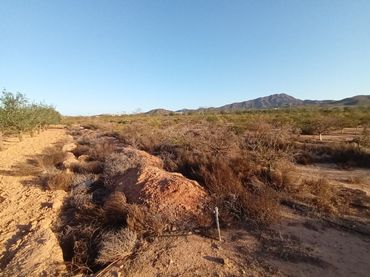 Terreny rústic en venda a Las Cánovas - Cuevas de Reyllo