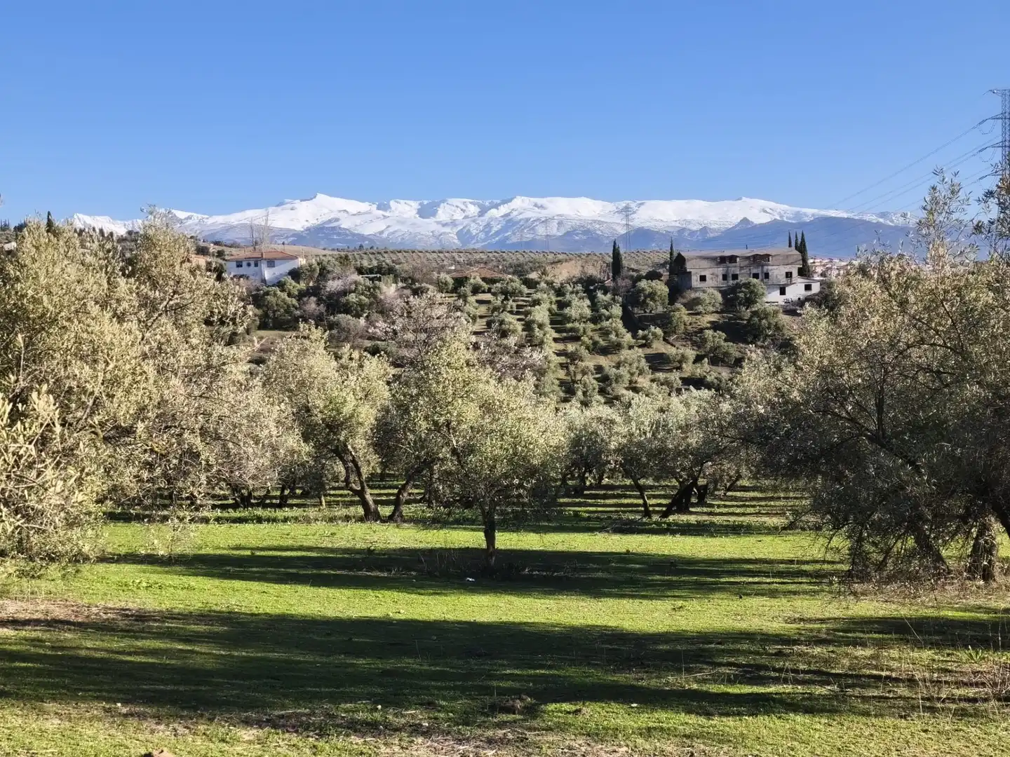 Lands and plots for sale in Alfacar, imagen 7