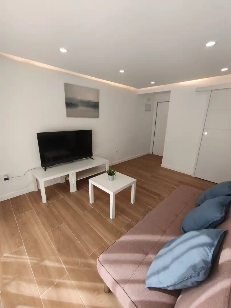 Living room of Attic for rent in Terrassa  with Furnished, Oven and Washing machine