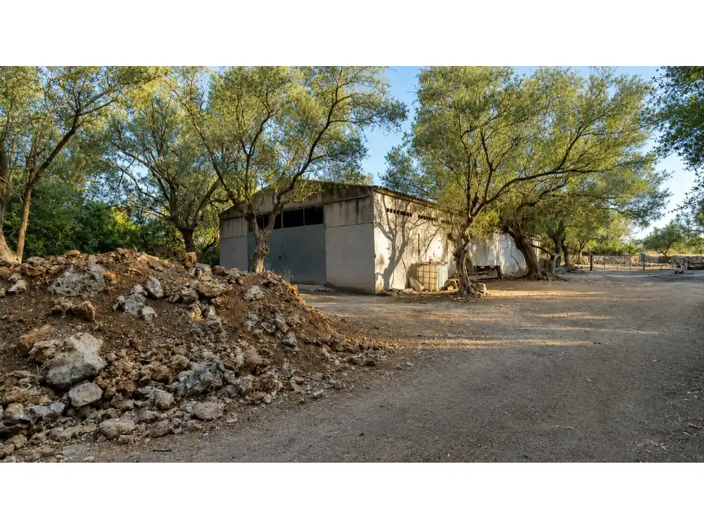Vista exterior de Casa o chalet en venta en Ariany con Jardín privado y Terraza