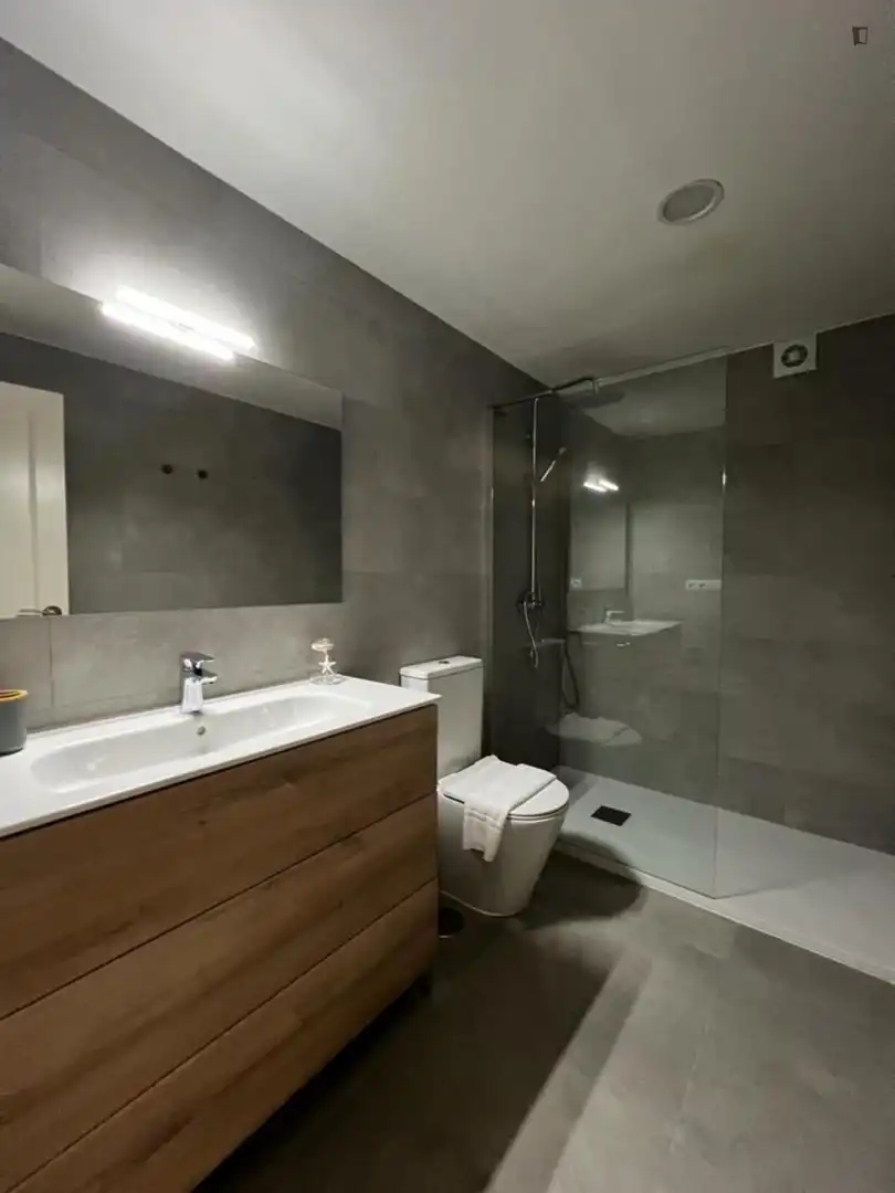 Baño de Apartamento de alquiler en Vigo  con Calefacción, Amueblado y Horno