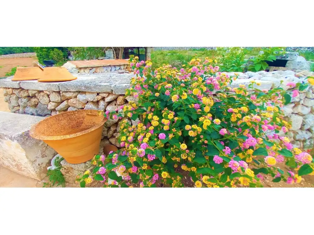 Maison rustique à vendre à Sant Lluís - S'Ullestrar - Torret, imagen 5