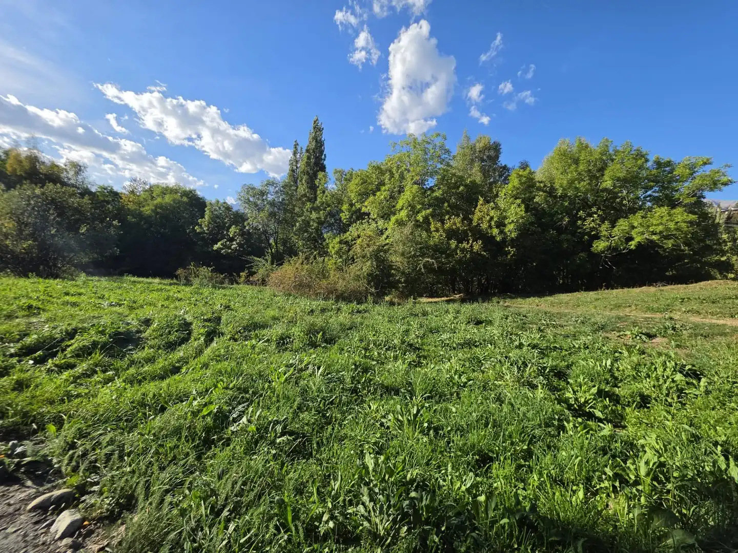 Lands and plots for sale in Benasque, imagen 7