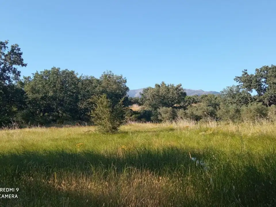 Terreno en venta en Robledillo de la Vera