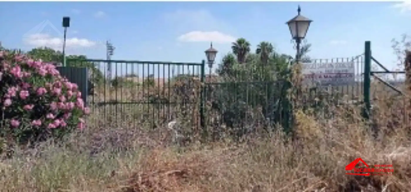 Residential land for sale in El Carpio, imagen 6