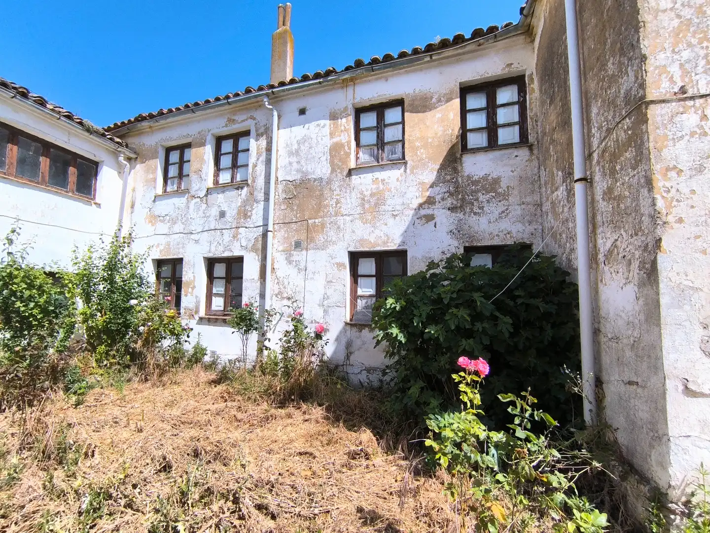 Vista exterior de Casa o xalet en venda en Meneses de Campos amb Jardí privat i Traster