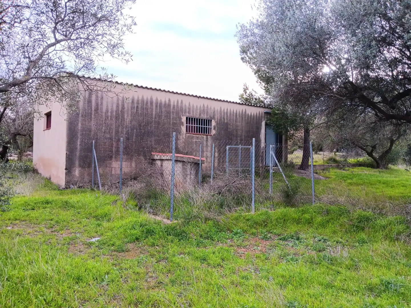 Vista exterior de Casa o chalet en venta en Tortosa