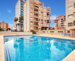 Swimming pool of Flat to rent in Gandia  with Air Conditioner and Terrace