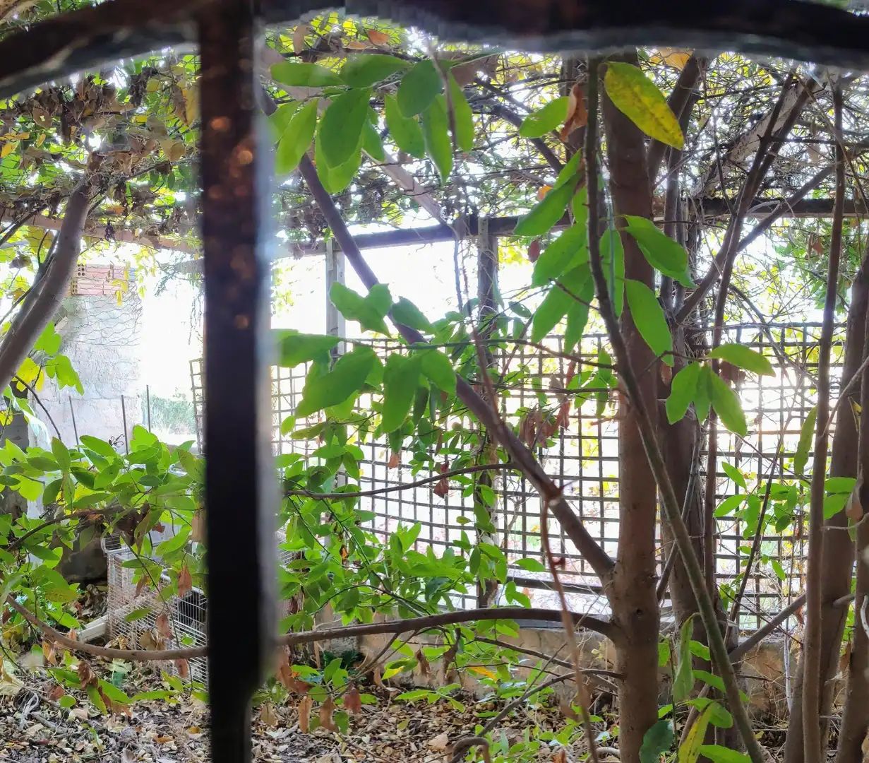 Casa en venda a Serón, imagen 19
