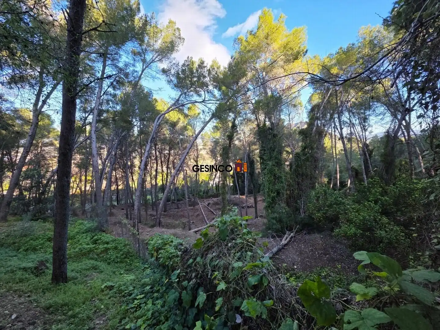 Xalet amb piscina en venda a Xàtiva, imagen 28
