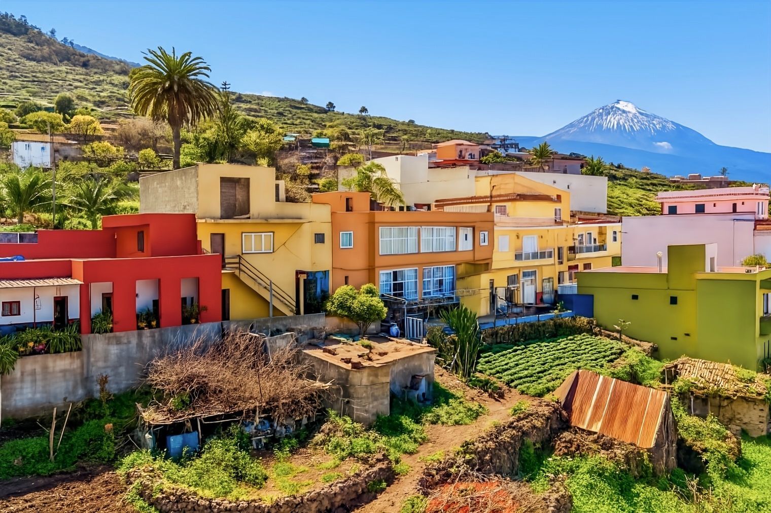 Vista exterior de Pis en venda en Santa Úrsula amb Jardí privat i Moblat