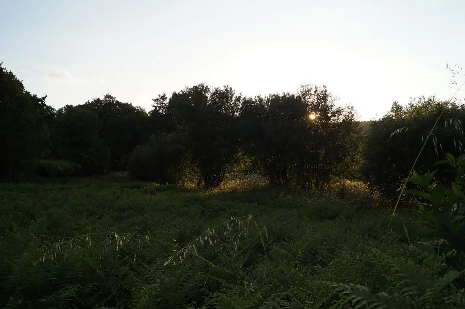 Terreni e lotti in vendita a Lugar Bemil, imagen 12
