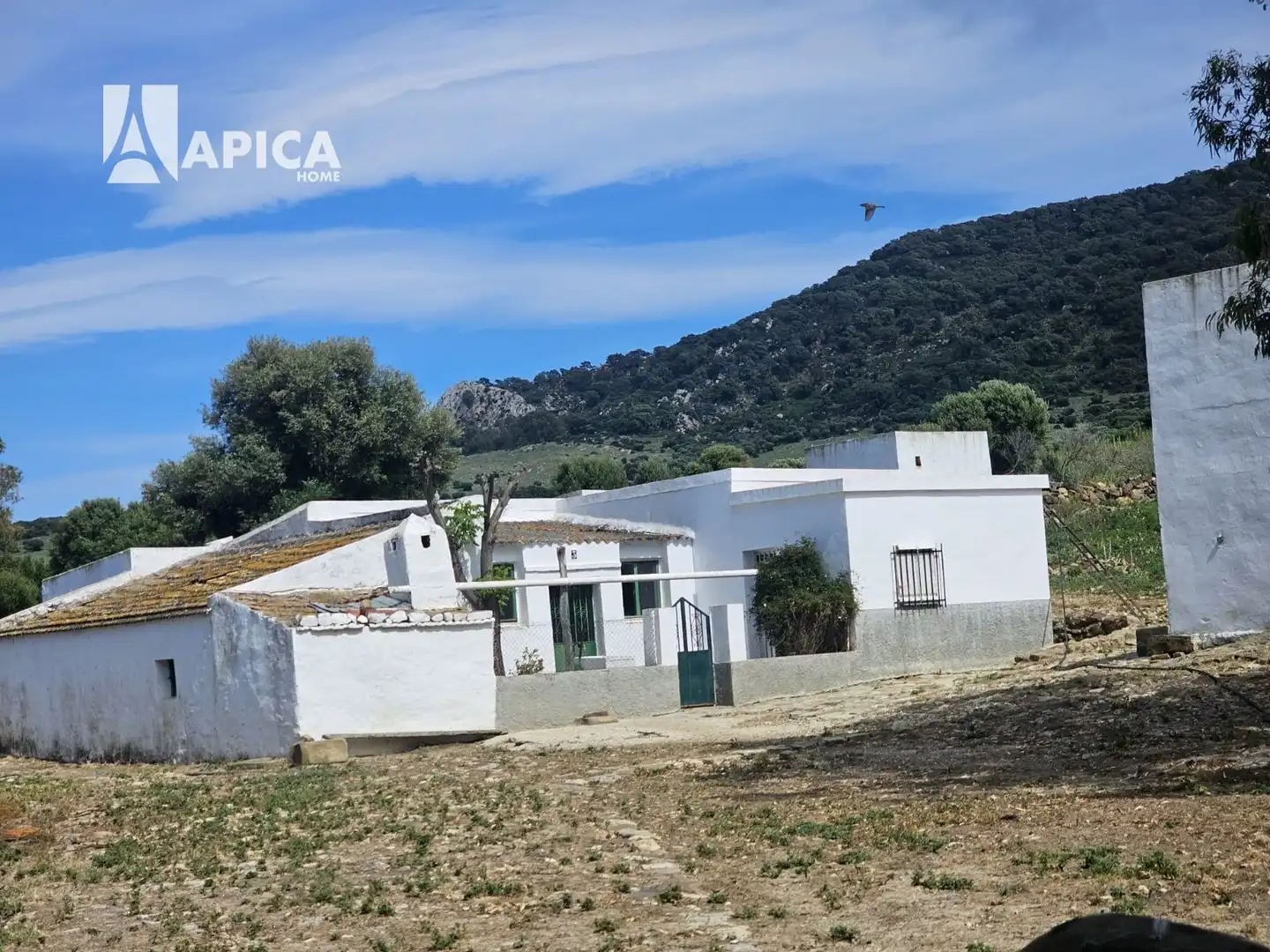 Terreno en venta en Facinas